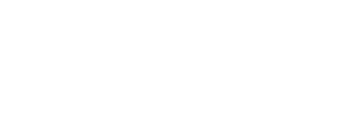 OPTUS